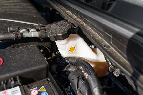 Close-up of brake fluid reservoir